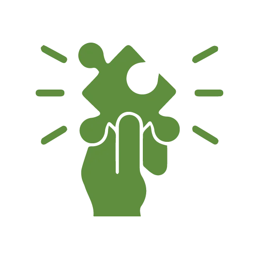 custom solutions-shopify